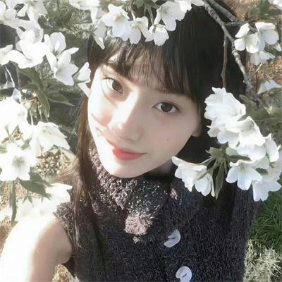 火线第二季